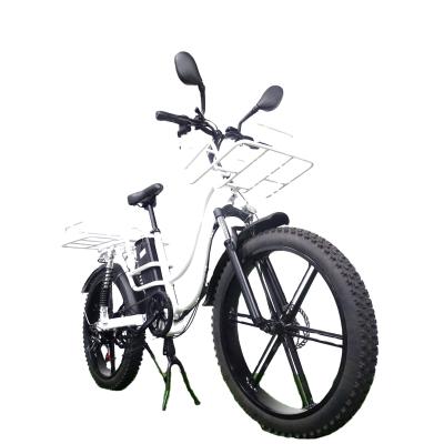 China Amazone 750w 1000w motor aluminum alloy mountain aluminum alloy delivery e bike fatbike fatbike hot sale electric bicycle for sale