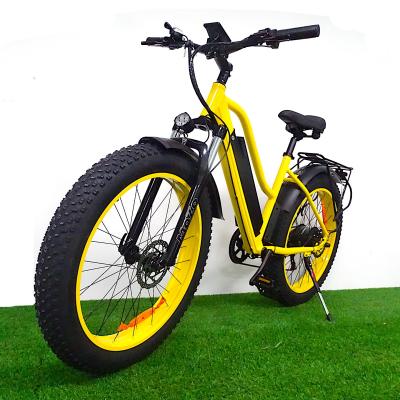 China Aluminum Alloy Electric City Bike 1000W/48V Motor 17.5ah Lithium Battery 26