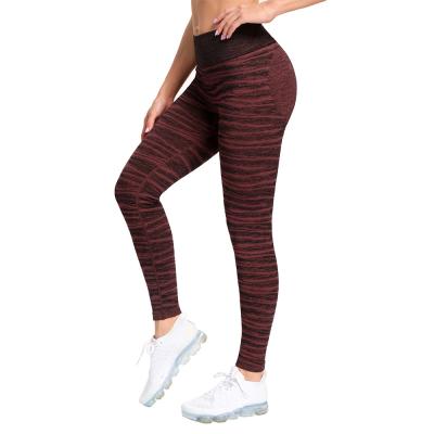 China Newest Breathable Seamless Yoga Pants Active Stretch Tights Gym Outdoor Sports Yoga Gaiters For Women for sale