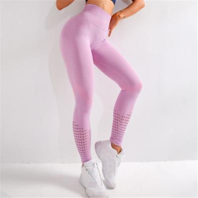 China Breathable Yoga Fitness Pants Women High Waist Hip Sports Seamless Activewear Leggings Running Tight for sale