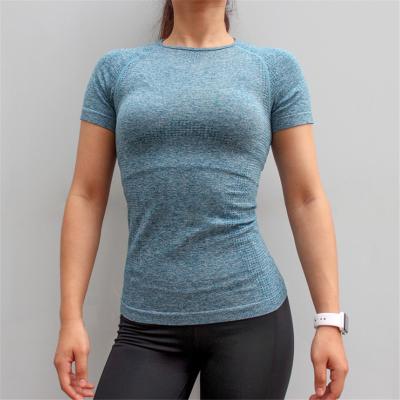 China Breathable Custom Design Running Fitness Women Summer Tops Short Sleeve T Shirts For Gym for sale