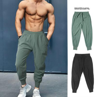 China Wholesale Custom Anti-Static Workout Fitness Sweatpants Tapered Slim Fit Gym Cotton Pants Jogger Track Pants Man for sale