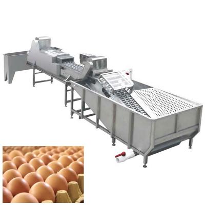 China Best Selling Egg Vegetable Sorter Egg Vegetable Processing Plant Grading and Egg Washing Machine with High Quality for sale