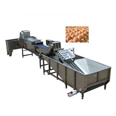 China High quality commercial vegetable processing plant egg processing plant egg seal for sale for sale