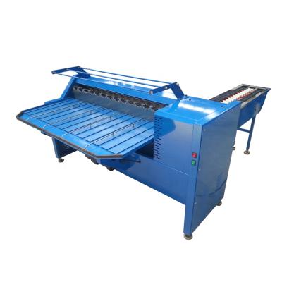 China High precision large capacity egg grading machine egg sorter machine egg grading on sale for sale