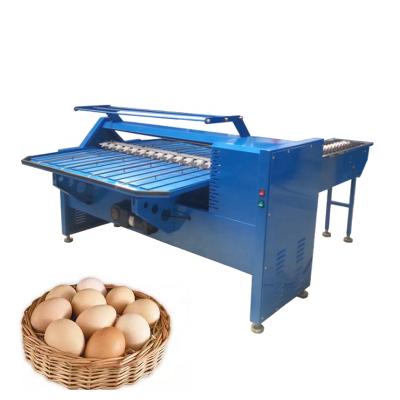 China High precision good quality egg size sorter egg grading machine egg sorter with lowest price for sale