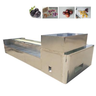 China Fruit Plum Pitter Peach Pitting Machine other fruit and vegetable machines for sale