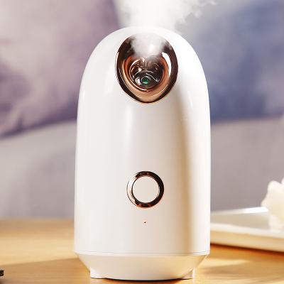 China Hot Selling Home Electric White Ionic Facial Steamer Thermospray Humidifier Trimming Machine Lon Hydrometer Hot Spray Steam Moisturizer Use Nano for sale