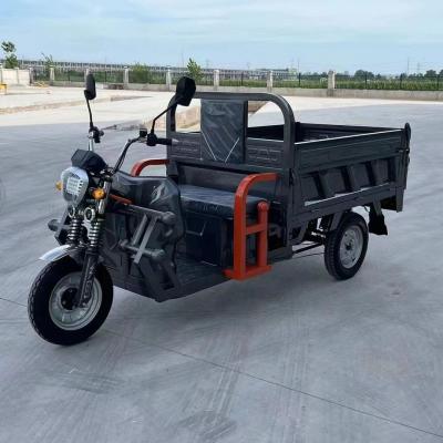 China Attractive Electric Tricycle for Unisex Black and White Design 60V 1000W DC Motor 3000*1080*1380 Size for sale