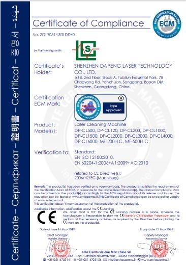 CE - Shenzhen Dapeng Laser Technology Co., Ltd.