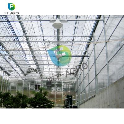 China Easily Assembled Multi Span Agricultural Plastic Greenhouse Used For Commercial for sale