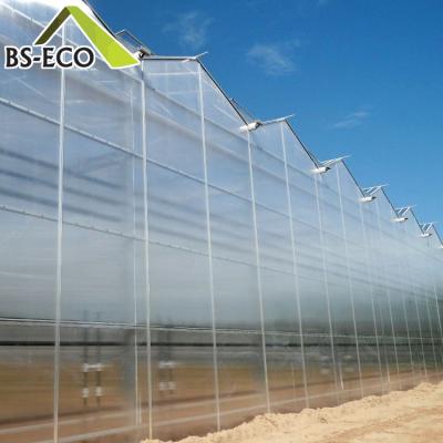 China Easily Assembled Multi Span Polycarbonate Agricultural Greenhouse With Hot Dip Galvanized Steel Frame for sale