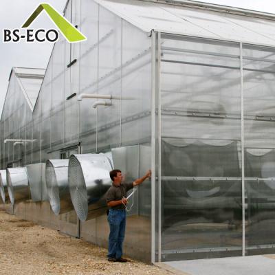 China Easily Assembled Multi Span PC Sheet Greenhouse With Growing Aquaponics Systems for sale