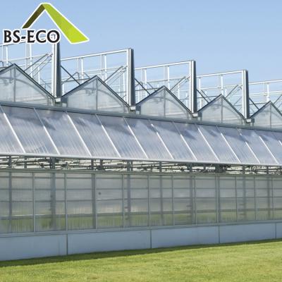 China Easily Assembled PC Sheet Greenhouse Multi Span Agriculture Greenhouse With Hot Dip Galvanized Steel for sale