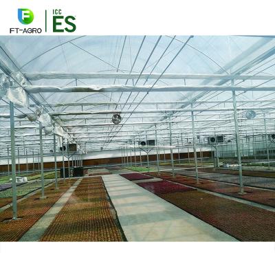 China Multi-span Hot Sale Greenhouses Hydroponics Low Cost Green Flower House For Tomatoes for sale