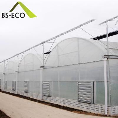 China Commercial Flower Multi-Span Film Greenhouse For Sale for sale