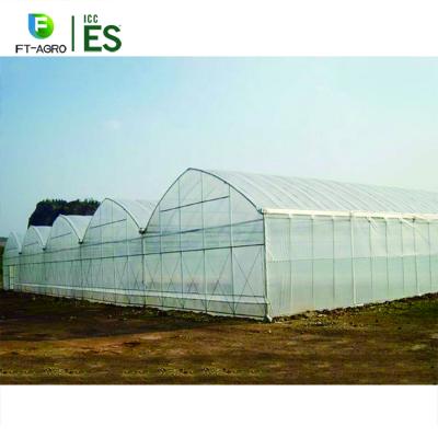 China Multi-Span Modern Flower Design Smart Film Greenhouse With Optimal Climate Control System for sale