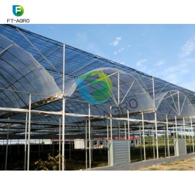 China High Quality Multi Span Tunnel Poly Flower Low Price Film Greenhouse For Hydroponic Agricultural Greenhouse for sale