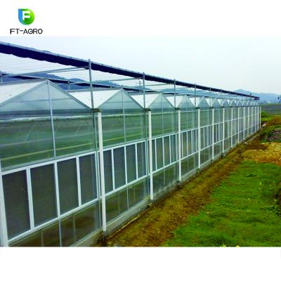 China Easily Assembled Multi-span PC Sheet Greenhouse With Hydroponic System for sale