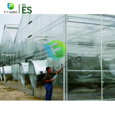 China Stable structure easily assembled high quality and low energy consumption new PC greenhouse for sale