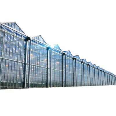 China Long Lifespan High Quality Low Price Multispan Glass Agricultural Greenhouse for sale