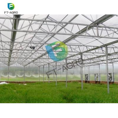 China Easily Assembled Multi-Span Polycarbonate Sheet Greenhouse For Agriculture With Aquaponics Growing Systems for sale