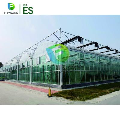 China Vegetable Fruits Flowers 9984 Tomato Planting Tempered Glass Greenhouse With Complete System for sale