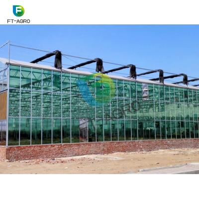 China Automation Large Size Fully Easily Assembled Multi-span Glass Greenhouse With Hydroponic System For Tomato Vegetable Growing for sale