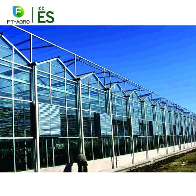 China Easily Assembled Climate Control Greenhouse Glass Greenhouse For Hydroponic Lettuce Growing for sale