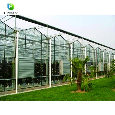 China Large Multi-span Easily Assembled Glass Greenhouse For Vegetables Plants Growing With Automatic Ventilation / Shading for sale