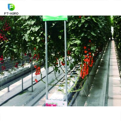 China Easily Assembled Multi-span PC Sheet Greenhouse With Hot-dip Galvanized Steel for sale