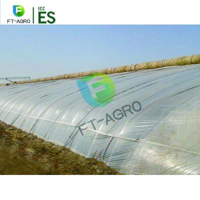 China Flower Wind Resistance Large Snow Load Single Span Sunlight Greenhouse For Sale for sale