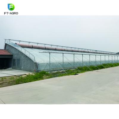 China 2020 Easily Collected Low Price Tunnel Greenhouse Vegetable for sale