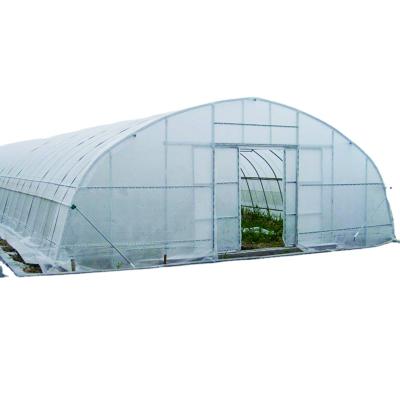 China Stable Structure Easily Assembled Film Cover Single Span Greenhouse Made By China for sale