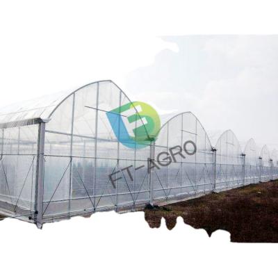 China Stable Structure Easily Assembled Agricultural Multispan Film Greenhouse for sale