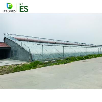 China Prefab Flower Chinese Style Sunlight Lean To Cover Sunlight Greenhouse On Sale for sale