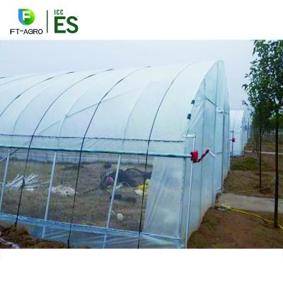 China Easily Assembled Greenhouse Single Span Easy Installed Agricultural Greenhouse for sale