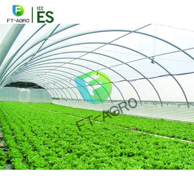 China Easy Assembly Agricultural Greenhouse Single Span Greenhouse With Plastic Film On Hot Sale for sale