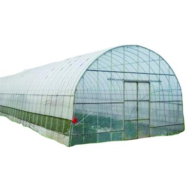 China Stable Structure Easily Assembled Single Span Automatic Greenhouse for sale