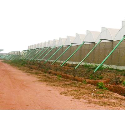 China Stable Structure Easily Assembled High Quality Multi Span Tropical Greenhouse for sale