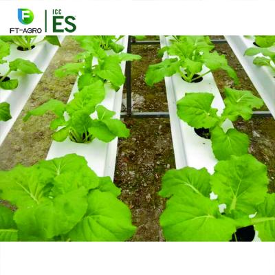 China High productive breeding farm hydroponics for microgreenhouse for sale