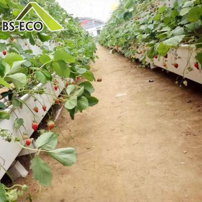 China Easy Assembled Commercial Used Hydroponic Growing System Strawberry Gutter For Greenhouse for sale