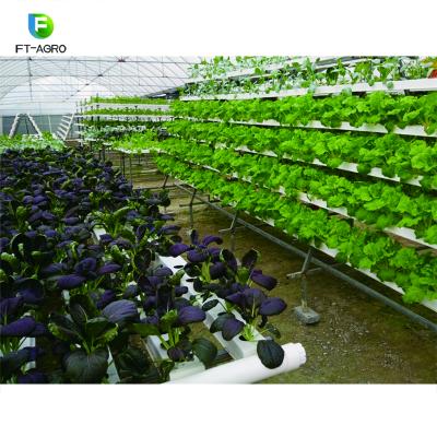 China China factory easy assembled hydroponic growing system for lettuce with cheap price for sale