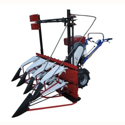 China Walking Type Harvester Grass Cutting Machine Used Harvest Maize Harvesting Mini Corn Sugar Cane Harvester for sale