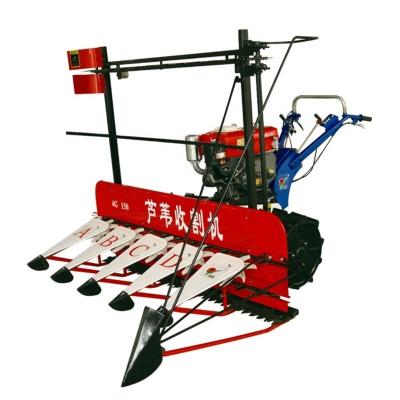 China Miwell Harvester Walking Type Farm Cutter Mini Harvester Reed Corn Reaper wjth High View for sale