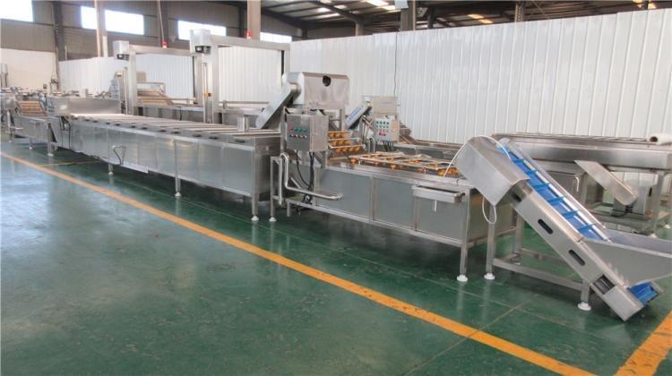 Verified China supplier - Zhucheng Lite Food Machinery Co., Ltd.