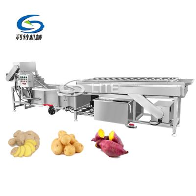 China High Efficiency Commercial Full Automatic Rotary Potato Seal Turmeric Ginger Washing And Peeling Machine for sale