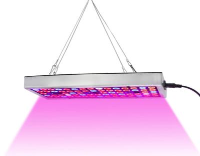 China Seed Starting LED Grow Lights, Full Spectrum LED Plant Lights for Indoor Plants, Micro Greens, Clones, Succulents, Seedlings for sale