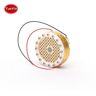 China Gold EZCast Large Side Edge Double Terminated Diaphragm Microphone Capsule for sale