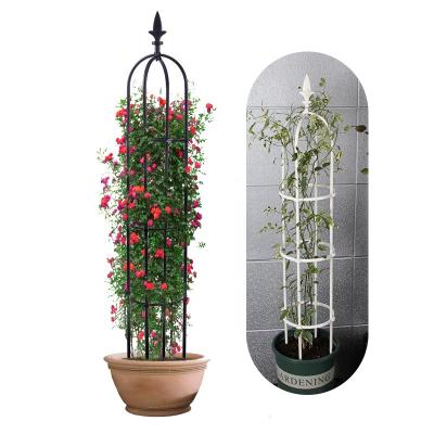 China Easy Garden Climbing Frame Flower Stand Garden Metal Plant Flower Support Obelisk for sale